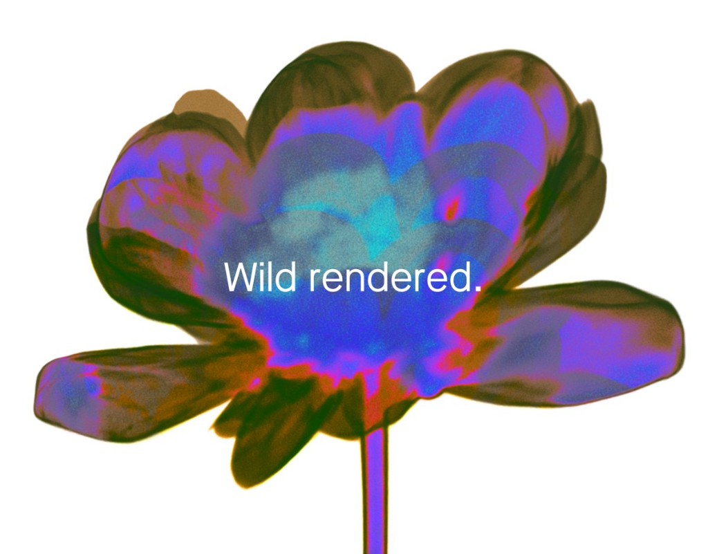Wild rendered